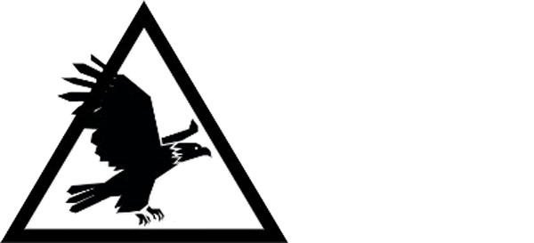 servicioseagles.cl